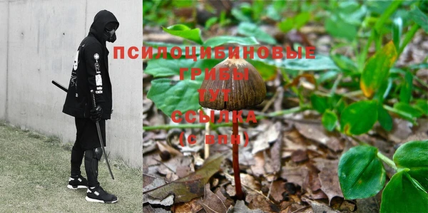 молекула духа Белоозёрский